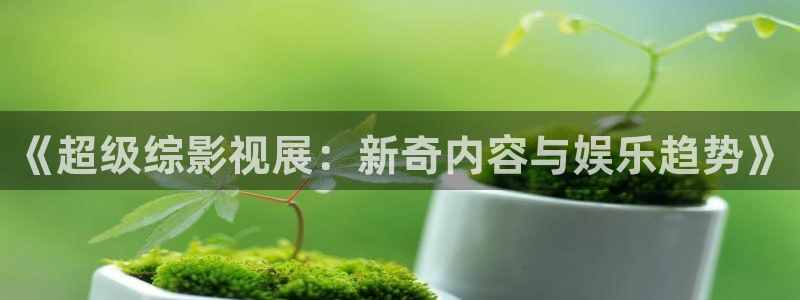 丝瓜视频免费在线观看