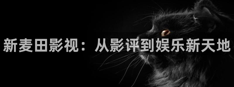 丝瓜视频下载app